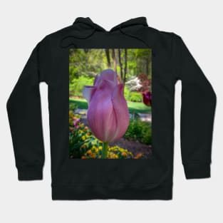 Spring Tulip Hoodie